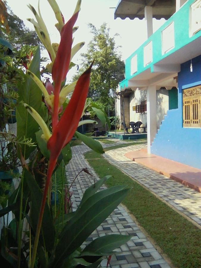 Thomasha Homestay เวลลาวายา ภายนอก รูปภาพ