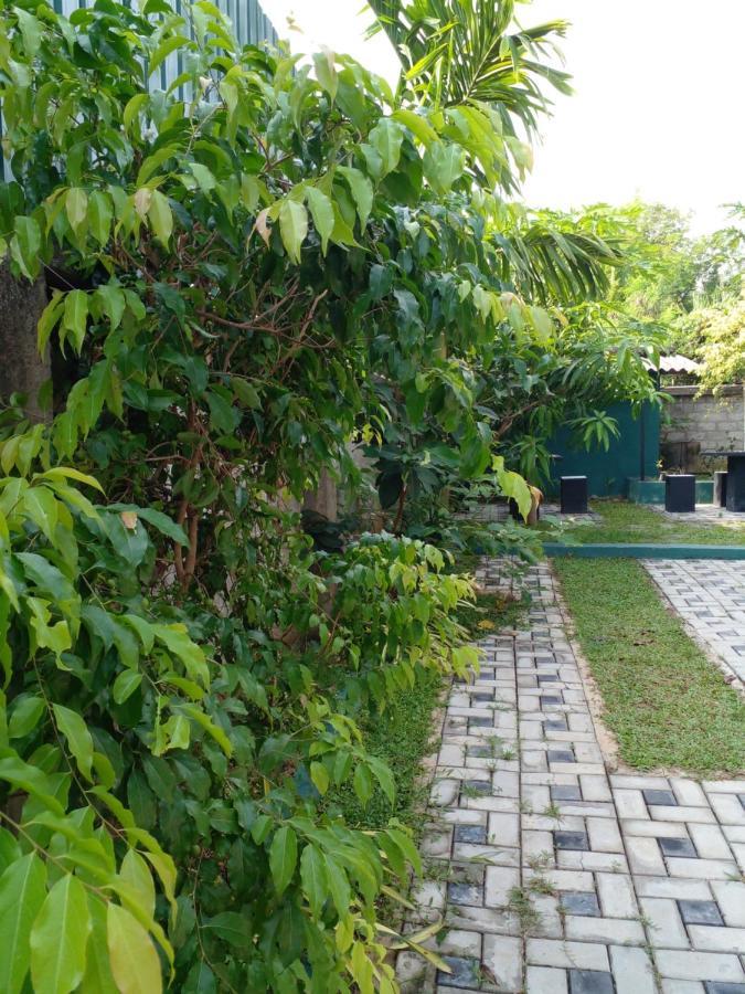 Thomasha Homestay เวลลาวายา ภายนอก รูปภาพ
