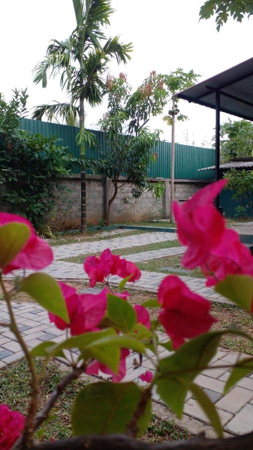 Thomasha Homestay เวลลาวายา ภายนอก รูปภาพ